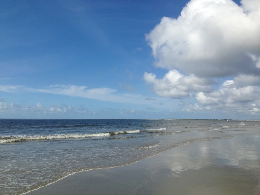 thumb_IMG_1355_1024.jpg
