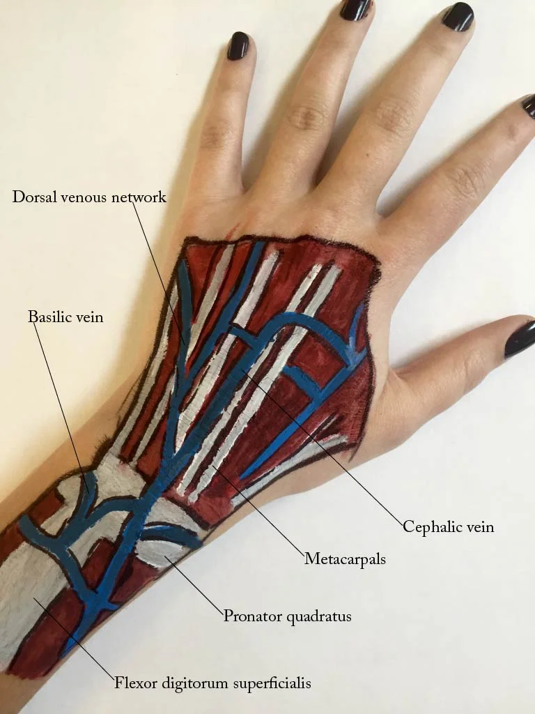 As part of this article, I decided to conduct my own body-painting experiment. I followed Quirk's technique and both designed and painted my own image -- albeit with much less skill than the artist himself. 