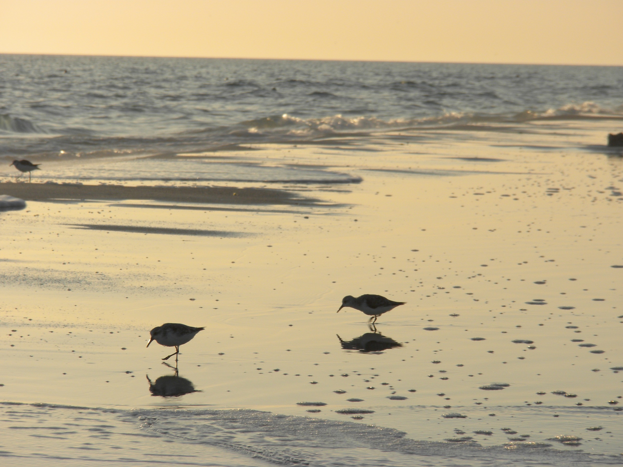 Sarasota, Florida