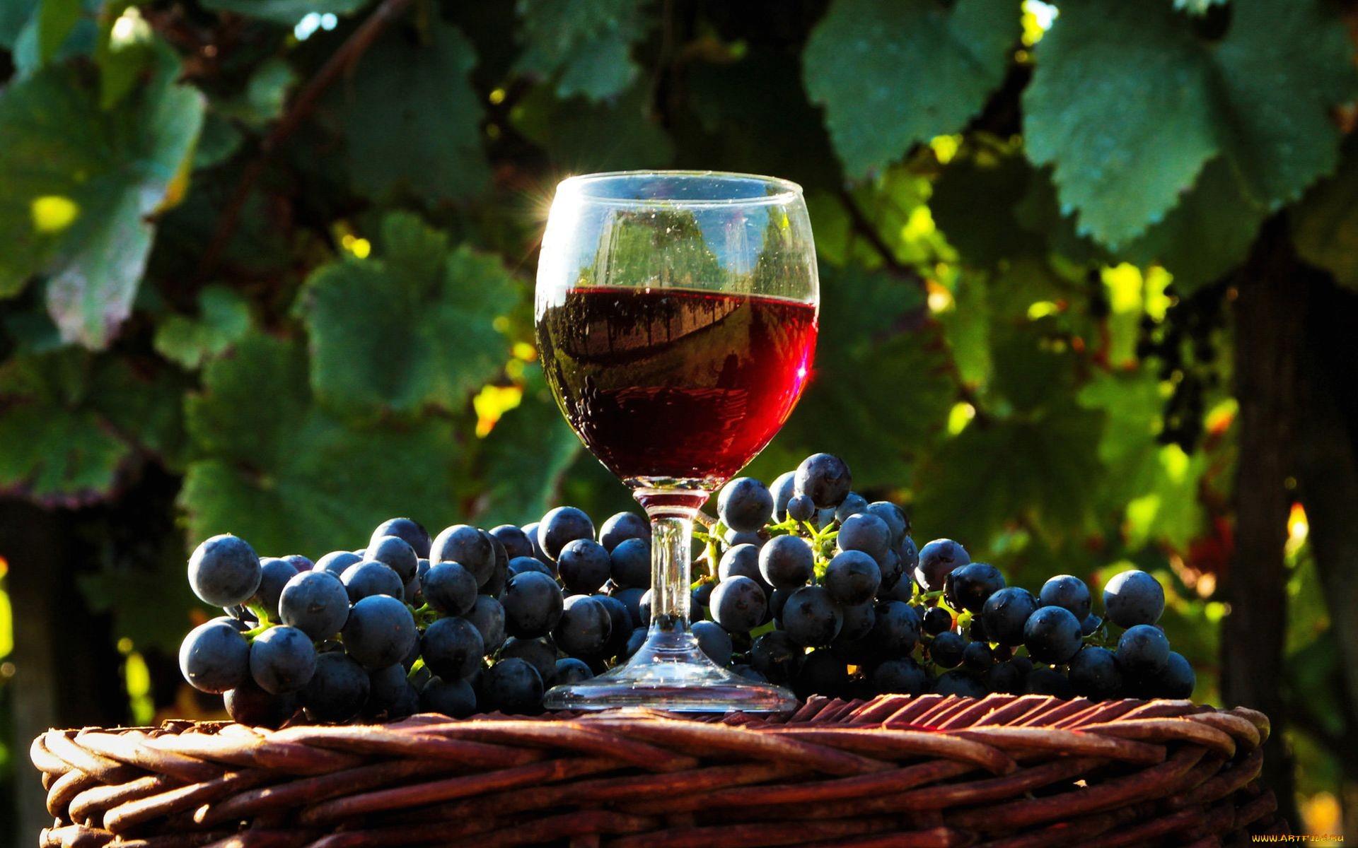 Wine is good