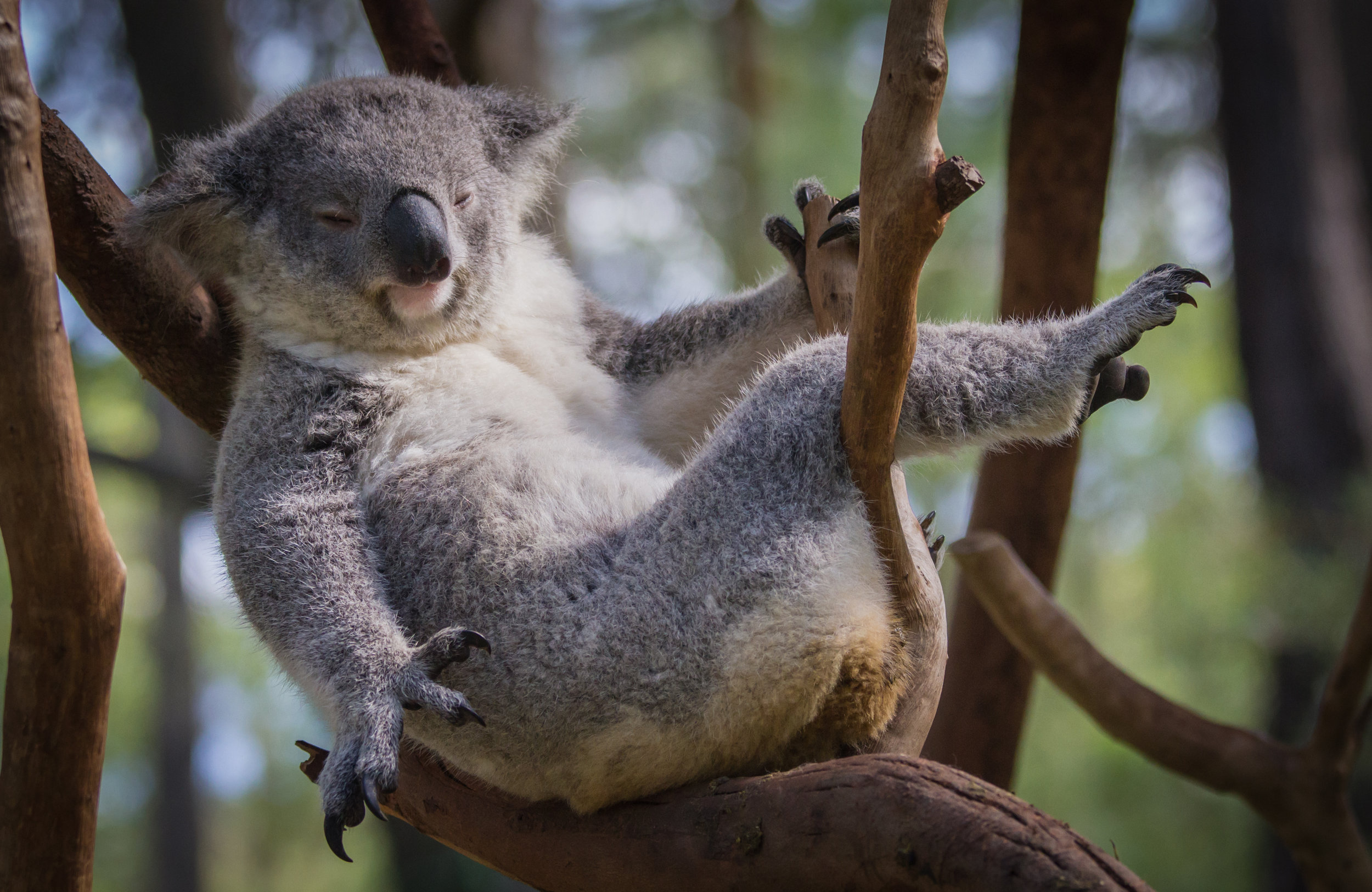 You, not stretching, probably