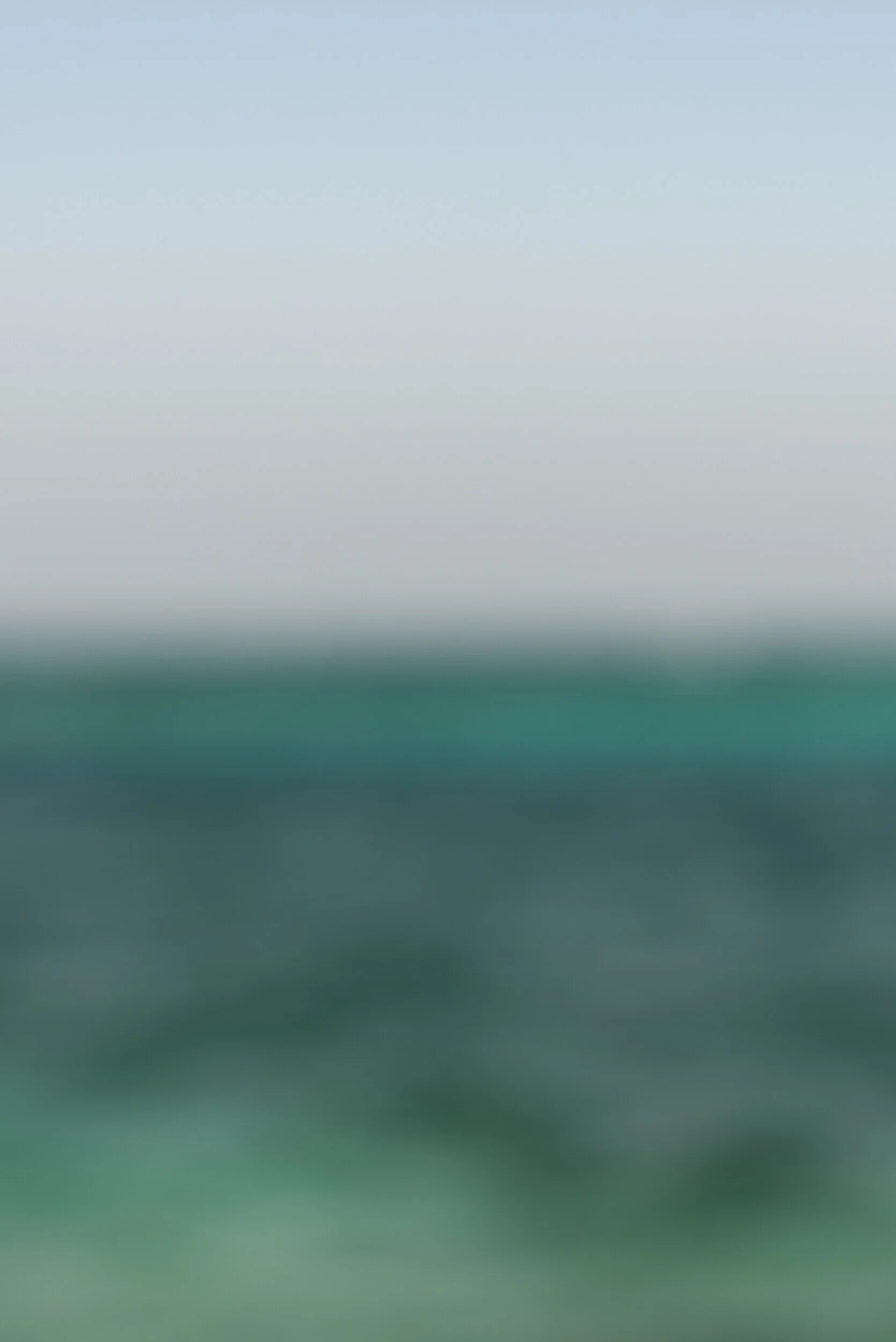 Life Aquatique 2
