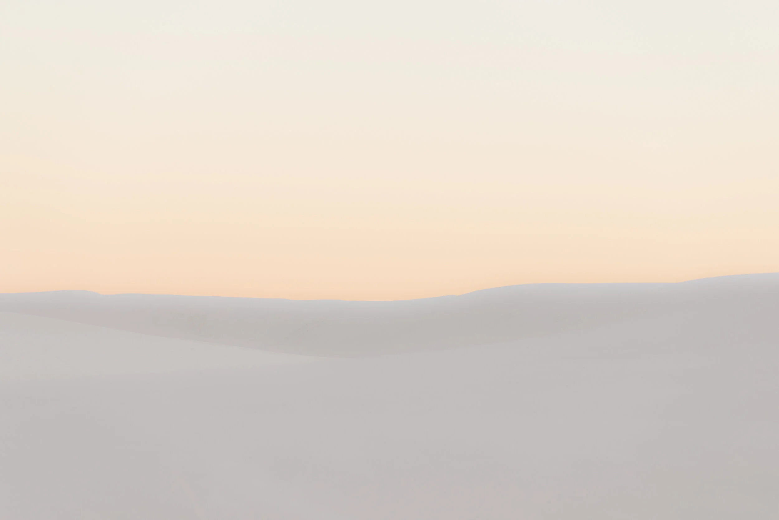 DSC_1413.jpg