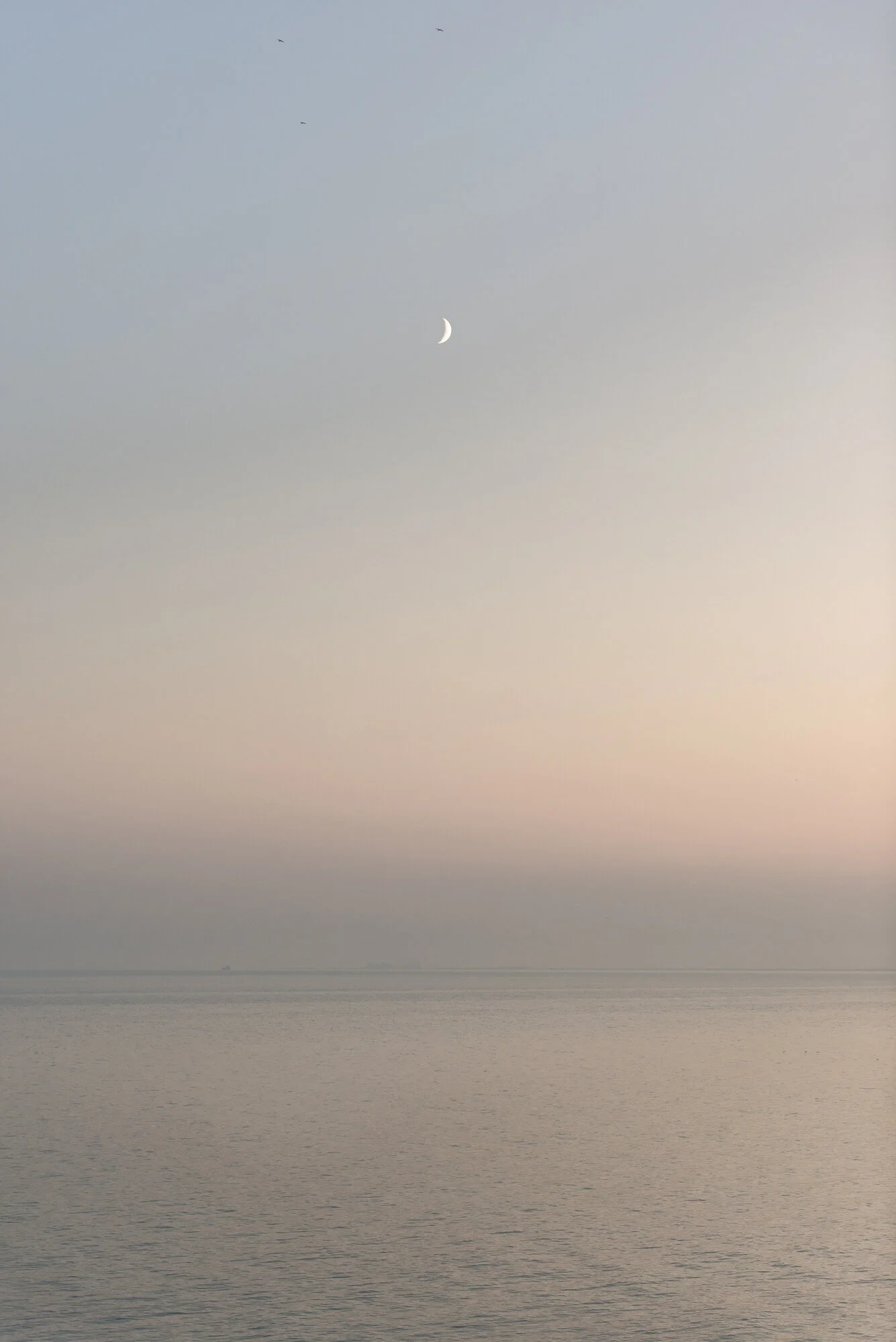 Moon Over Parador