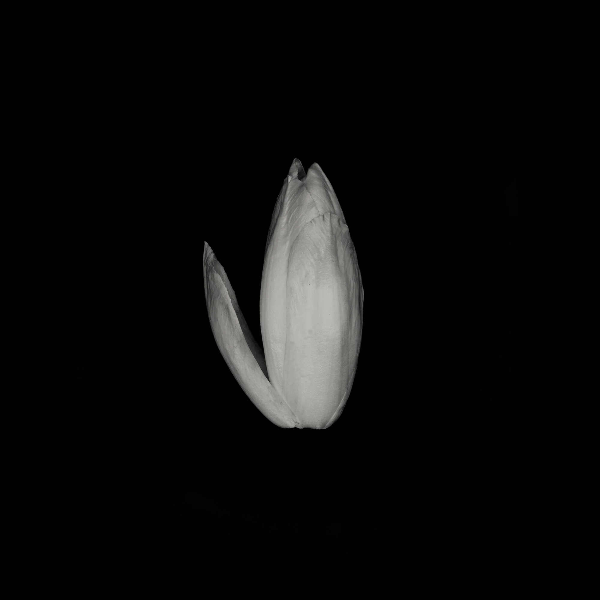 Ending Endive