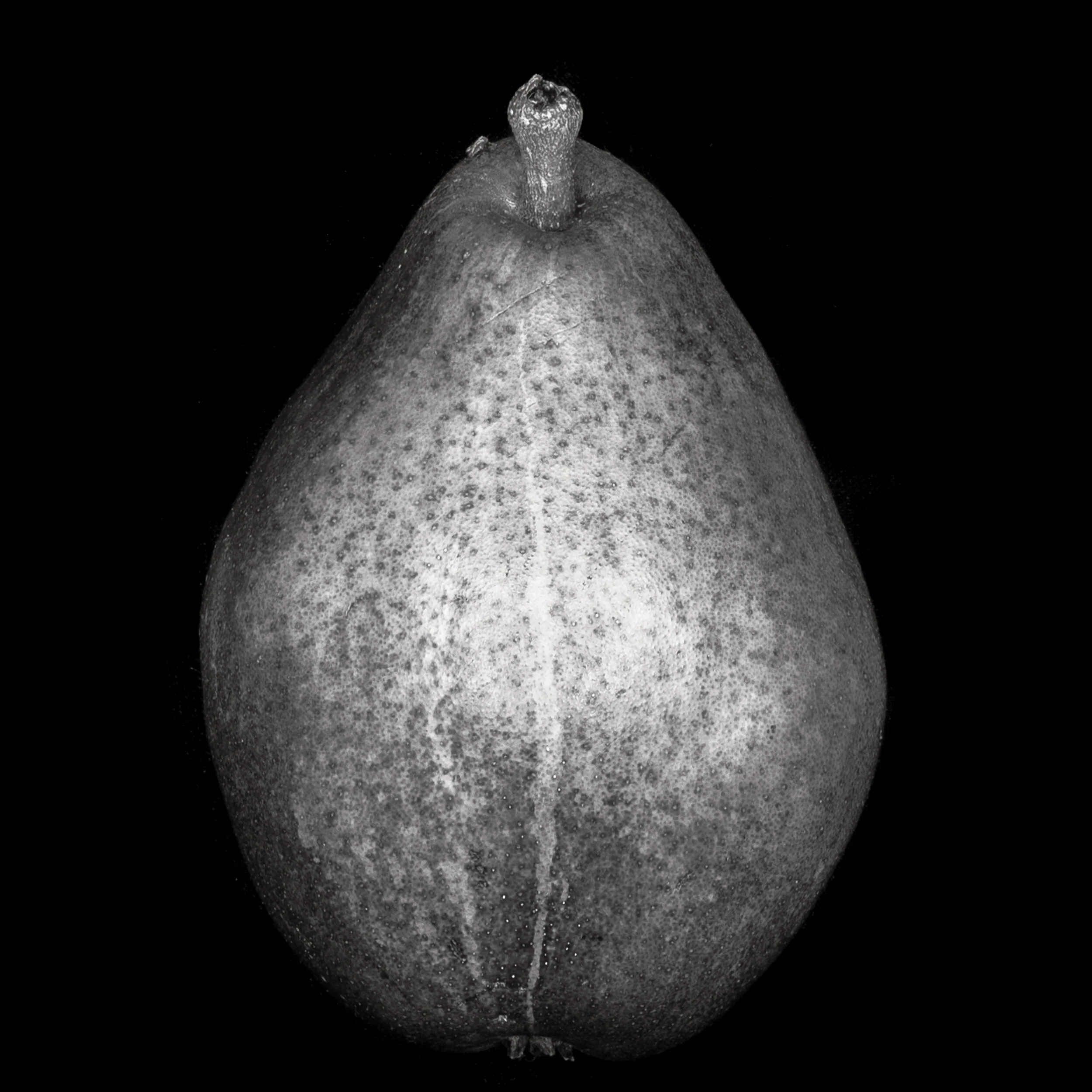 Heartbreak_Pear_DSC0300.jpg
