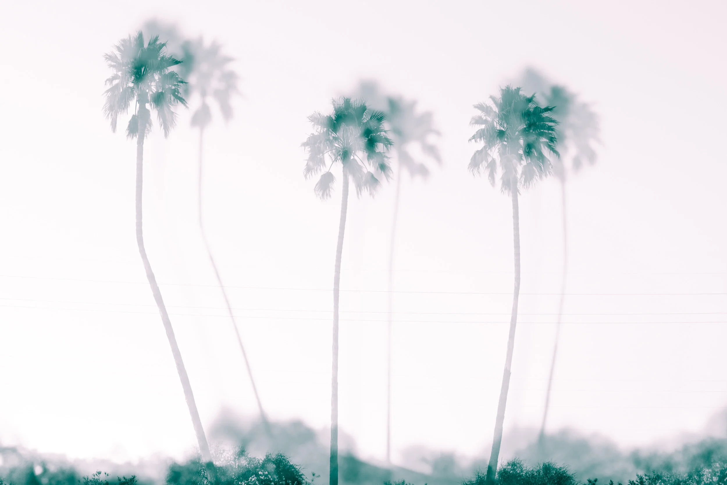 LANDSCAPES - EMOTIONAL