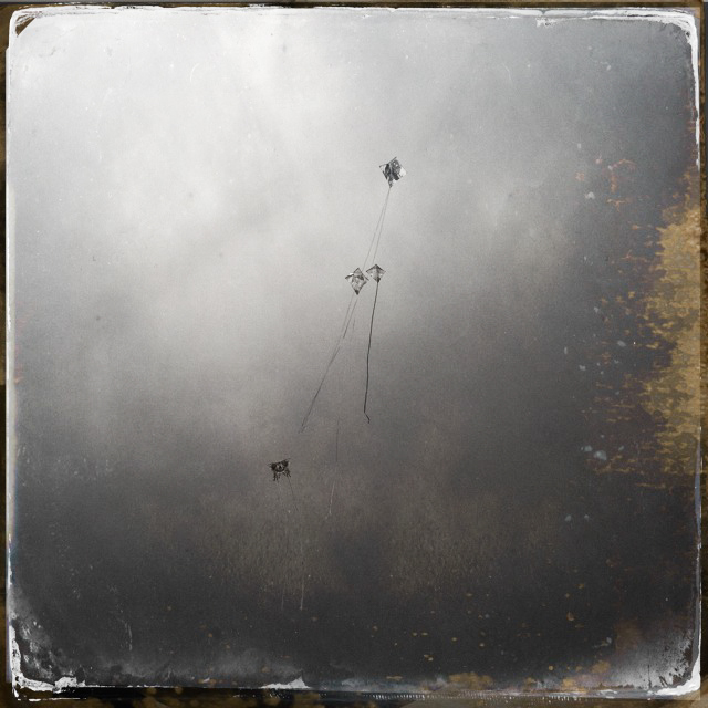 Kite Dreams #3