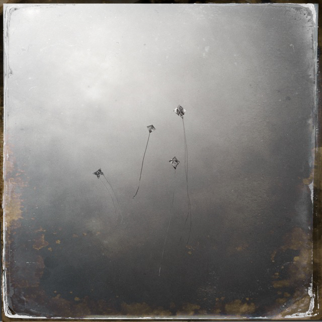 Kite Dreams II