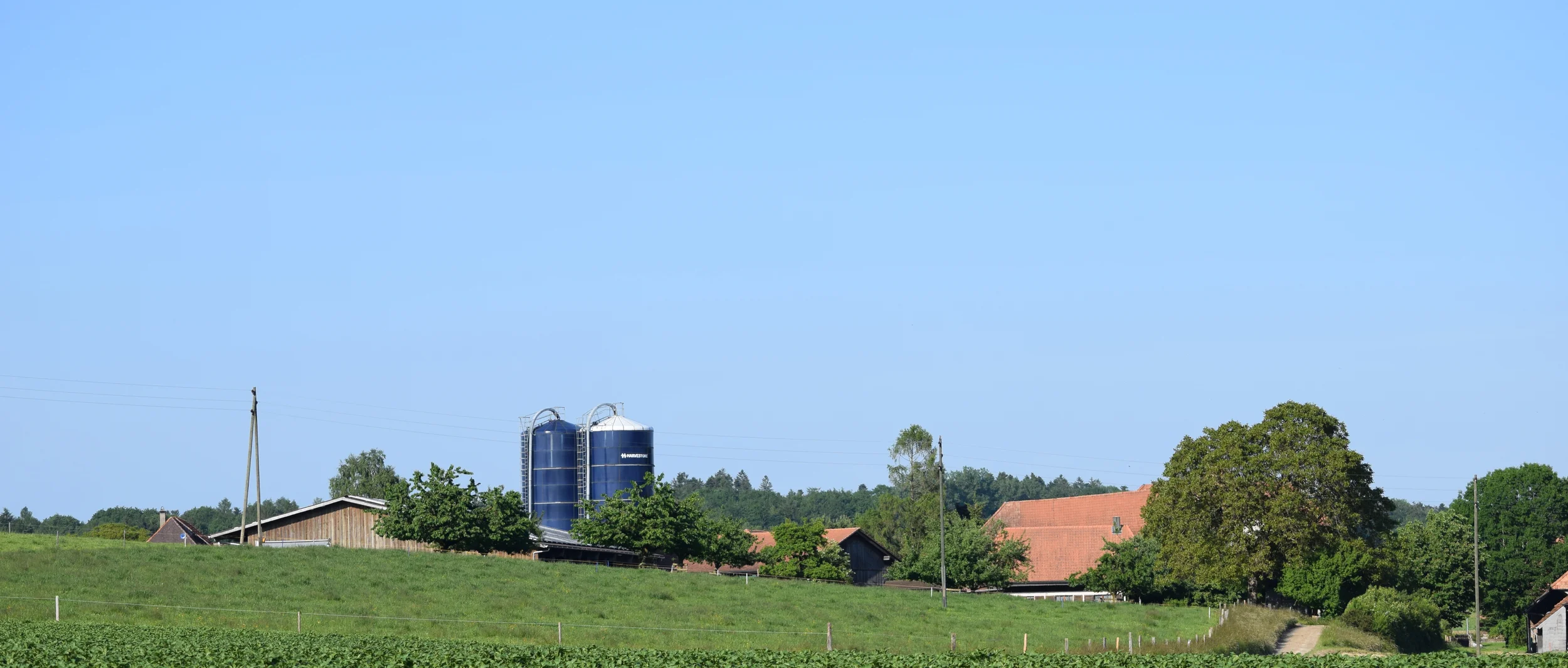 DSC_0031_cut.jpg