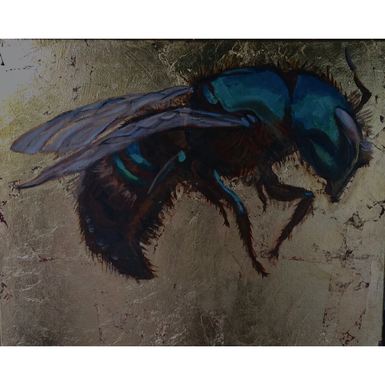 Blue Mason bee