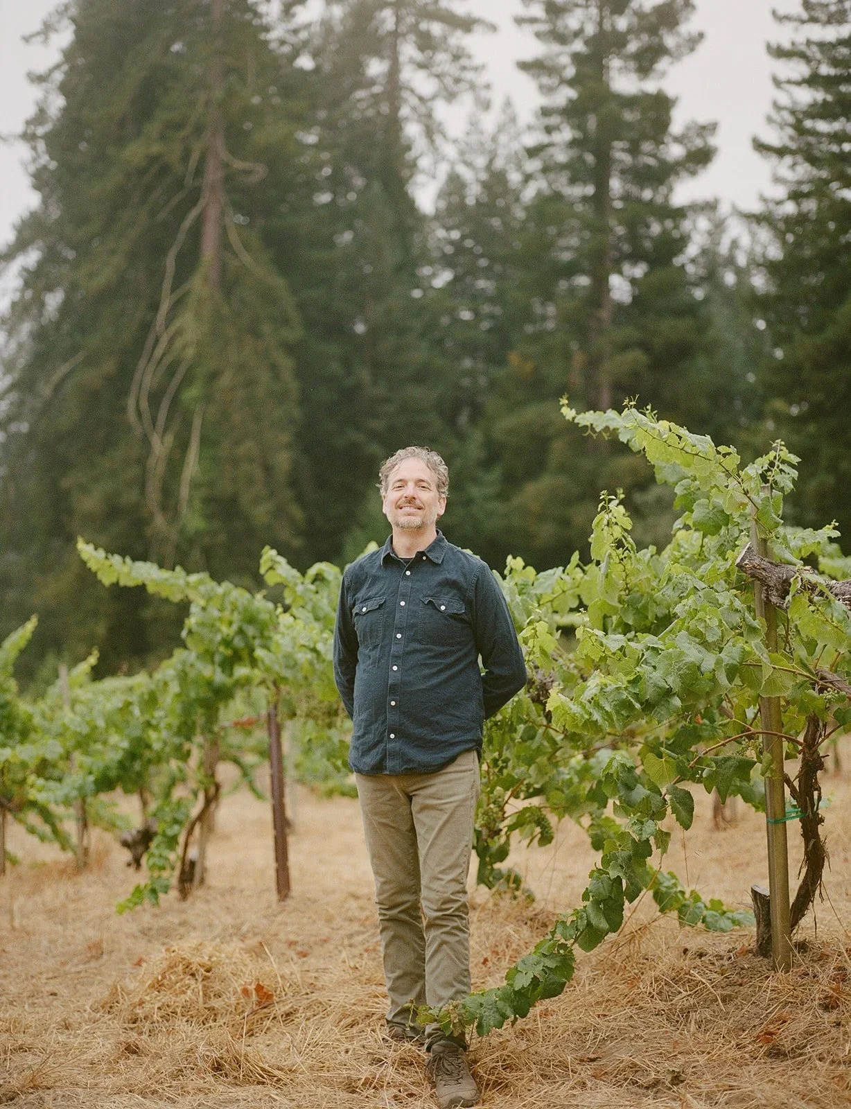 A man standing in a vineyard surrounded by grapevines with green leaves, with tall pine trees in the background, during daytime.