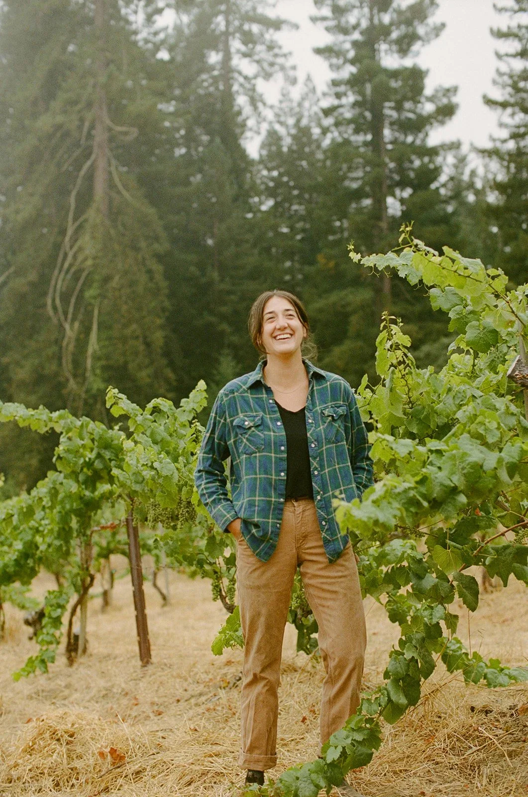 A smiling young woman in casual clothing standing among grapevines in a vineyard with tall trees in the background.