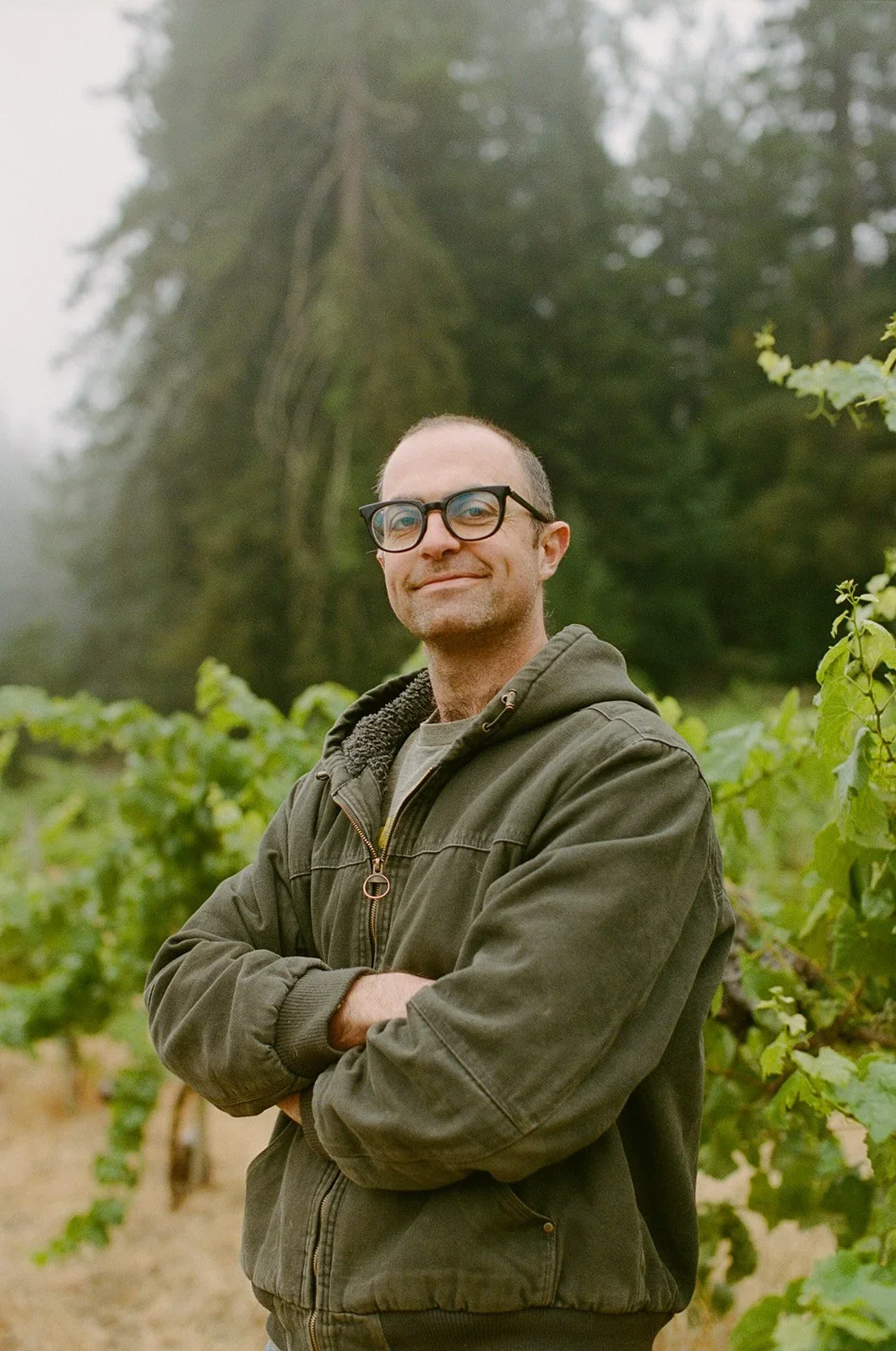 A man wearing glasses and a green jacket stands with his arms crossed in a vineyard surrounded by grapevines, with a large tree in the background surrounded by fog.