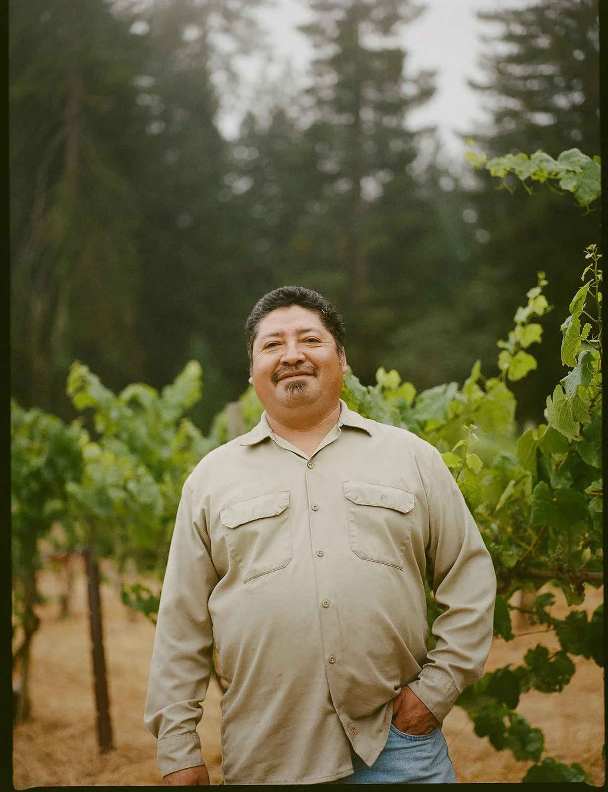 A man standing in a vineyard with grapevines, wearing a light-colored long-sleeve shirt and jeans, with a forest in the background.