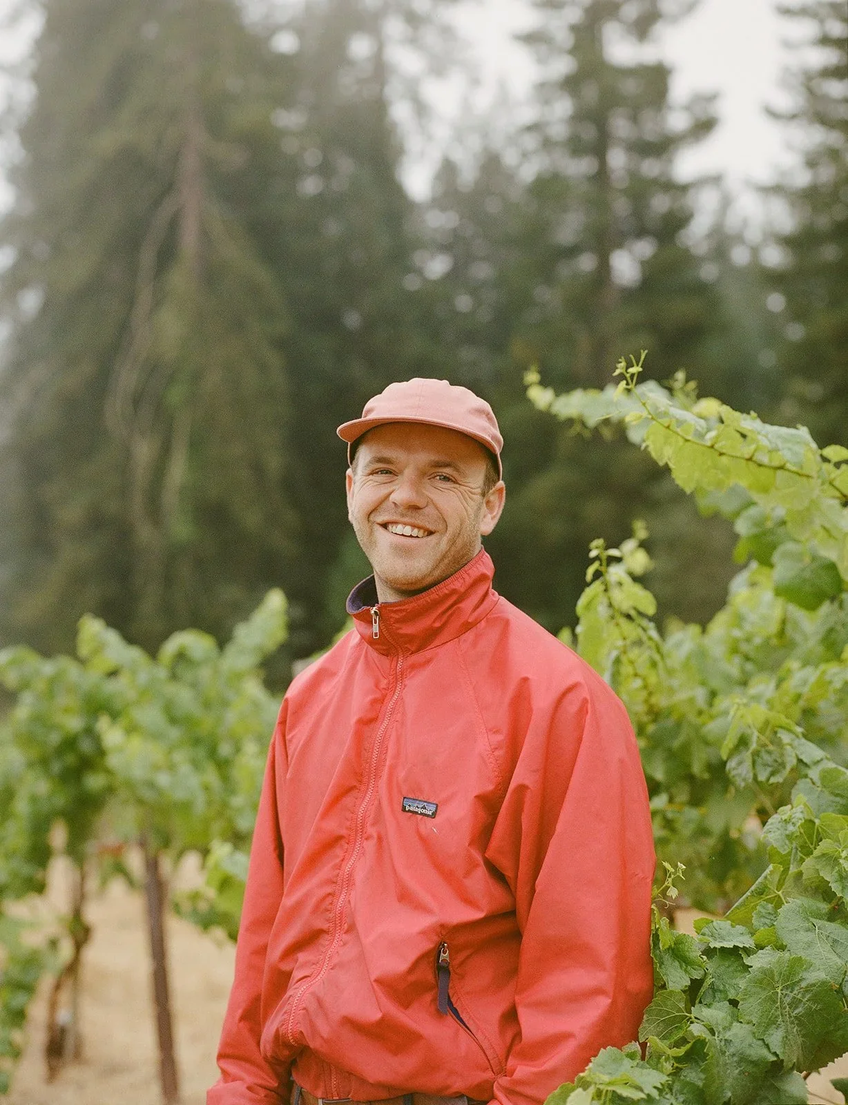 Smiling man in red jacket and pink cap standing among green vineyard leaves, with a forest in the background.