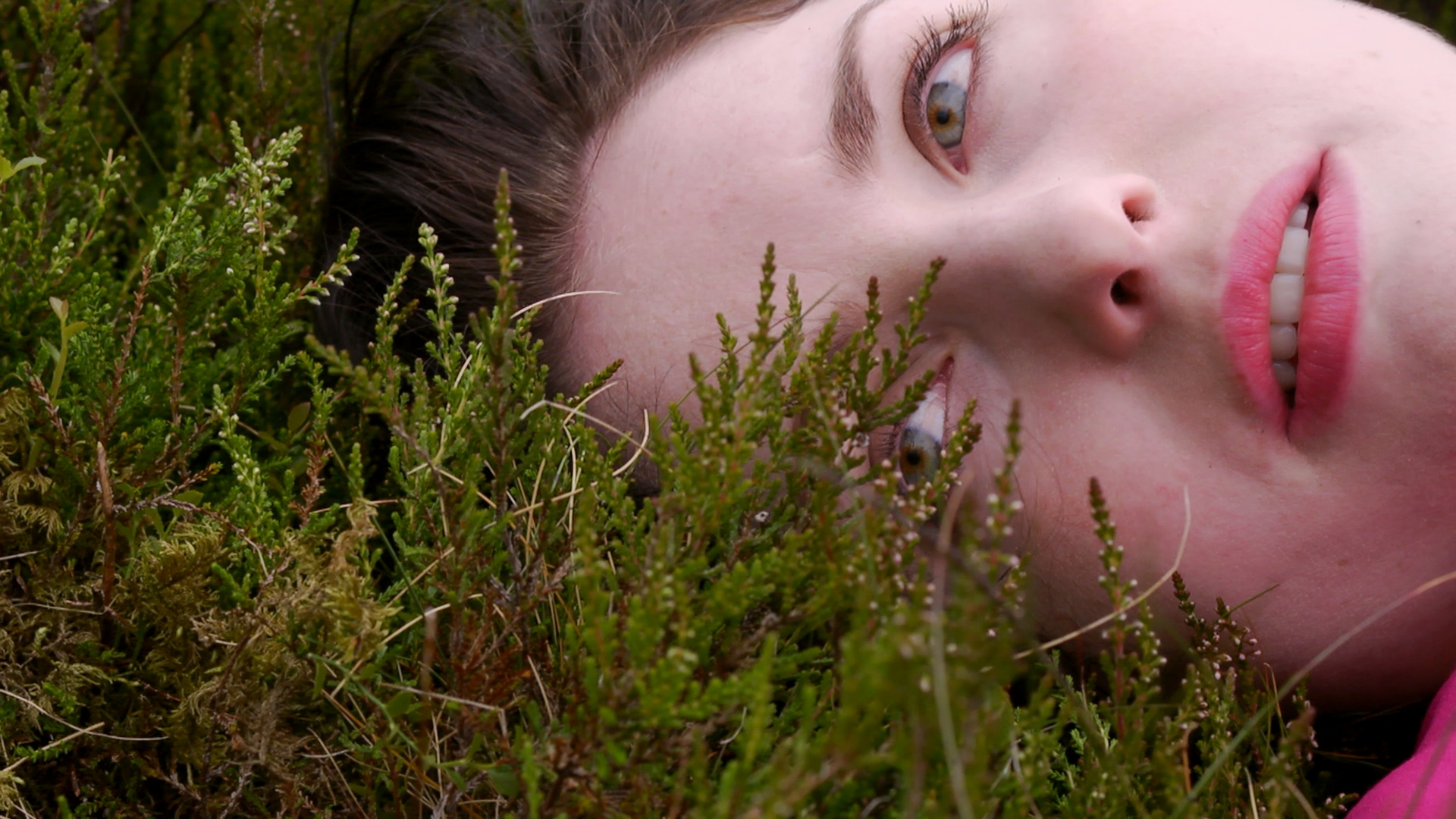 Sequence 01.Still005.jpg