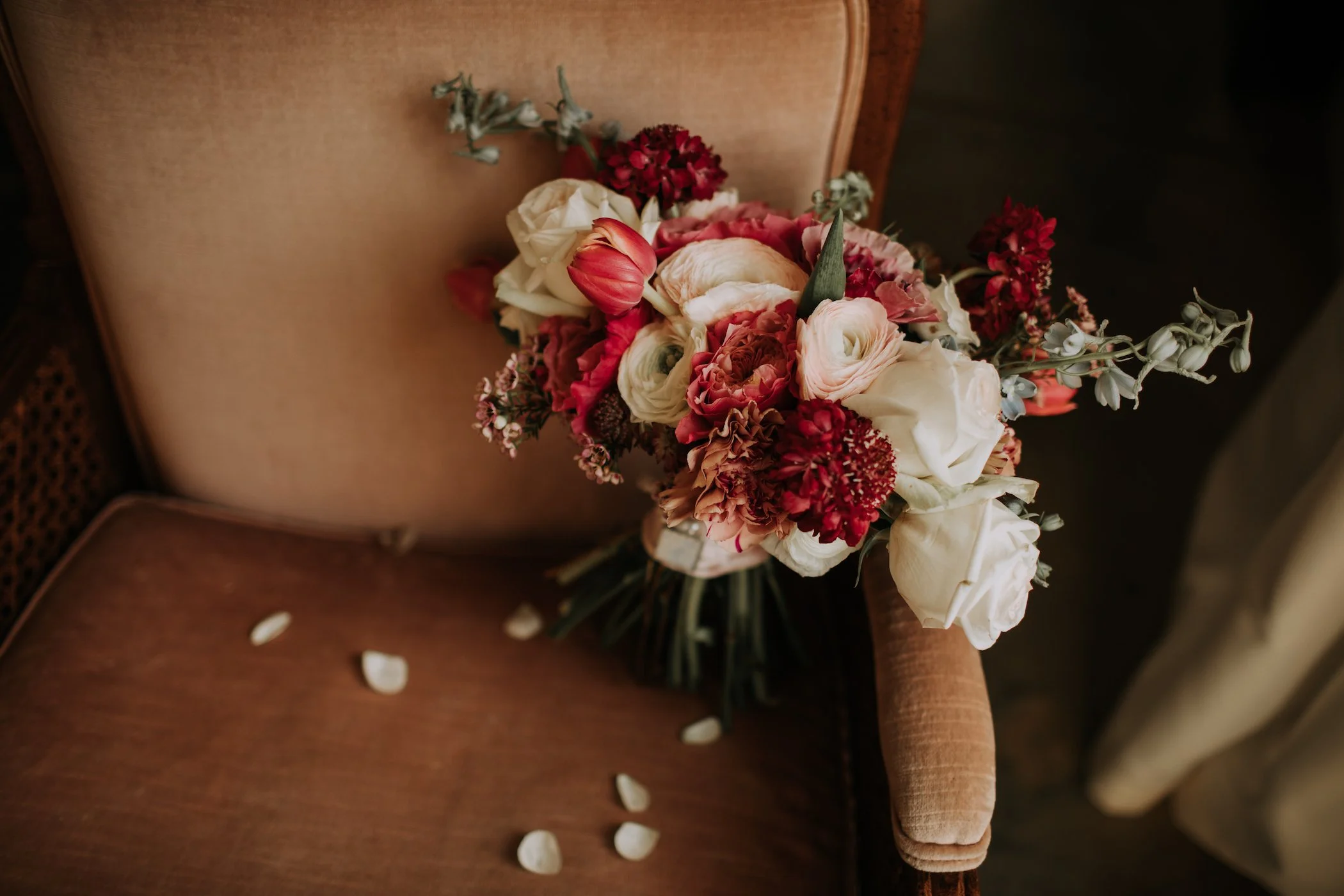 Sainte Terre Woodham3.JPG