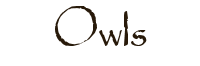 Owls.png
