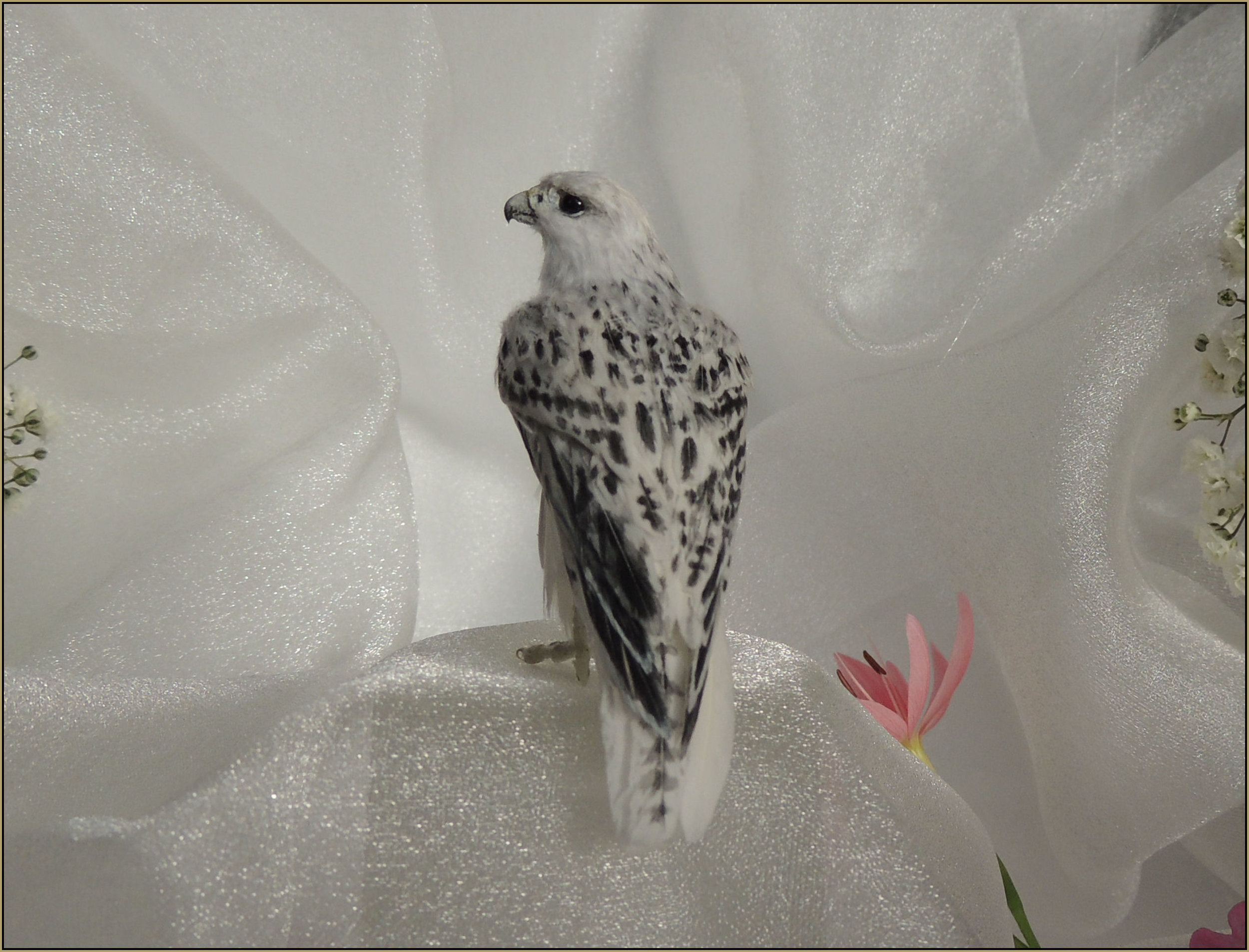   White morph Gyrfalcon custom made 1.8 scale wedding cake topper.    Medium: Polymer clay sculpture, handpainted  feather plumage Onyx set eyes    Dimensions: 7.6 cm (3 inches) in length including the tail. Free standing sculpture.    Year: 2015    