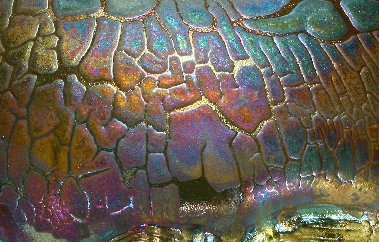 Reticulated Vessel, CU.jpg