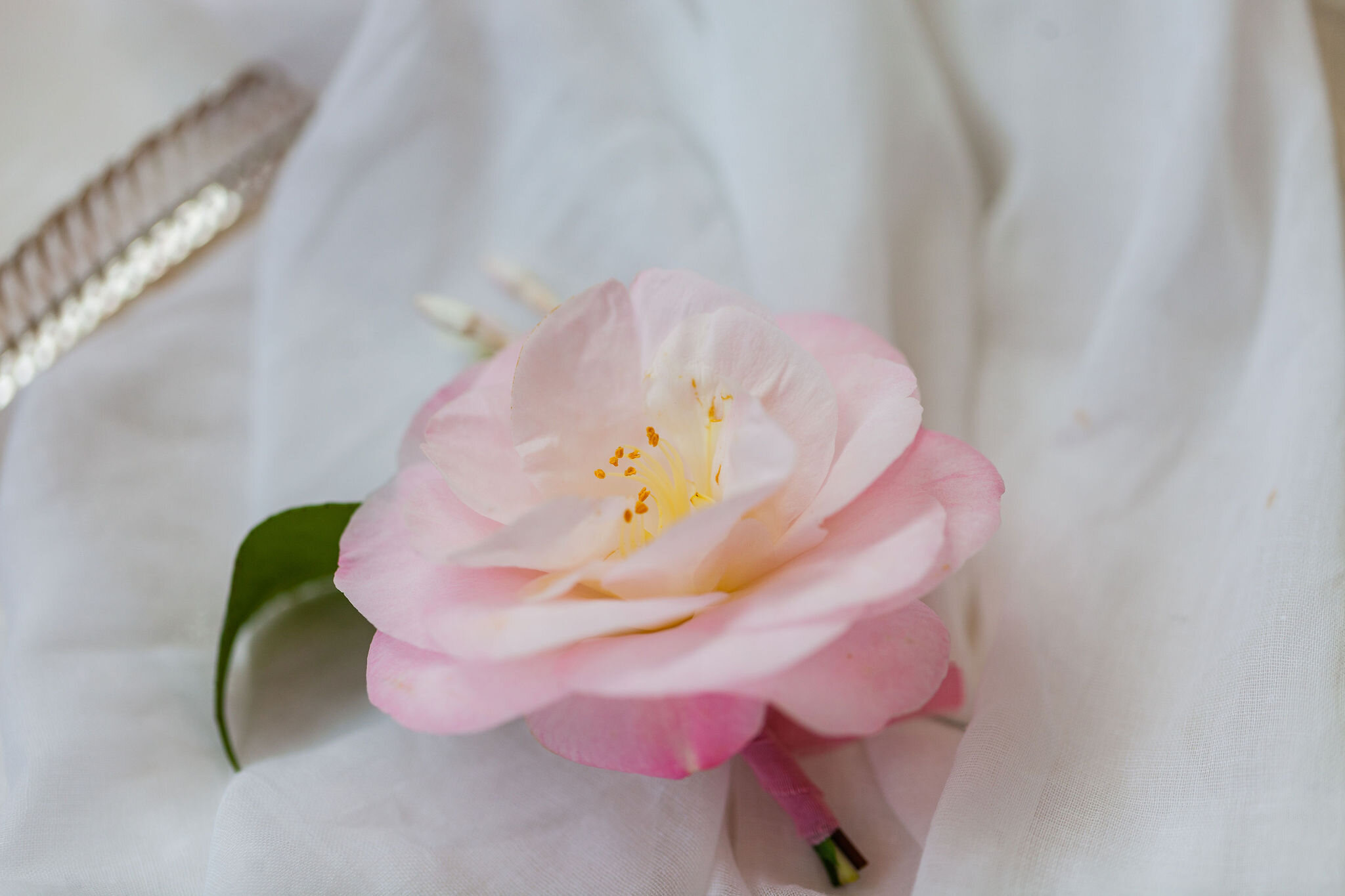 Spring Wedding Buttonholes: Camellia and Jasmine