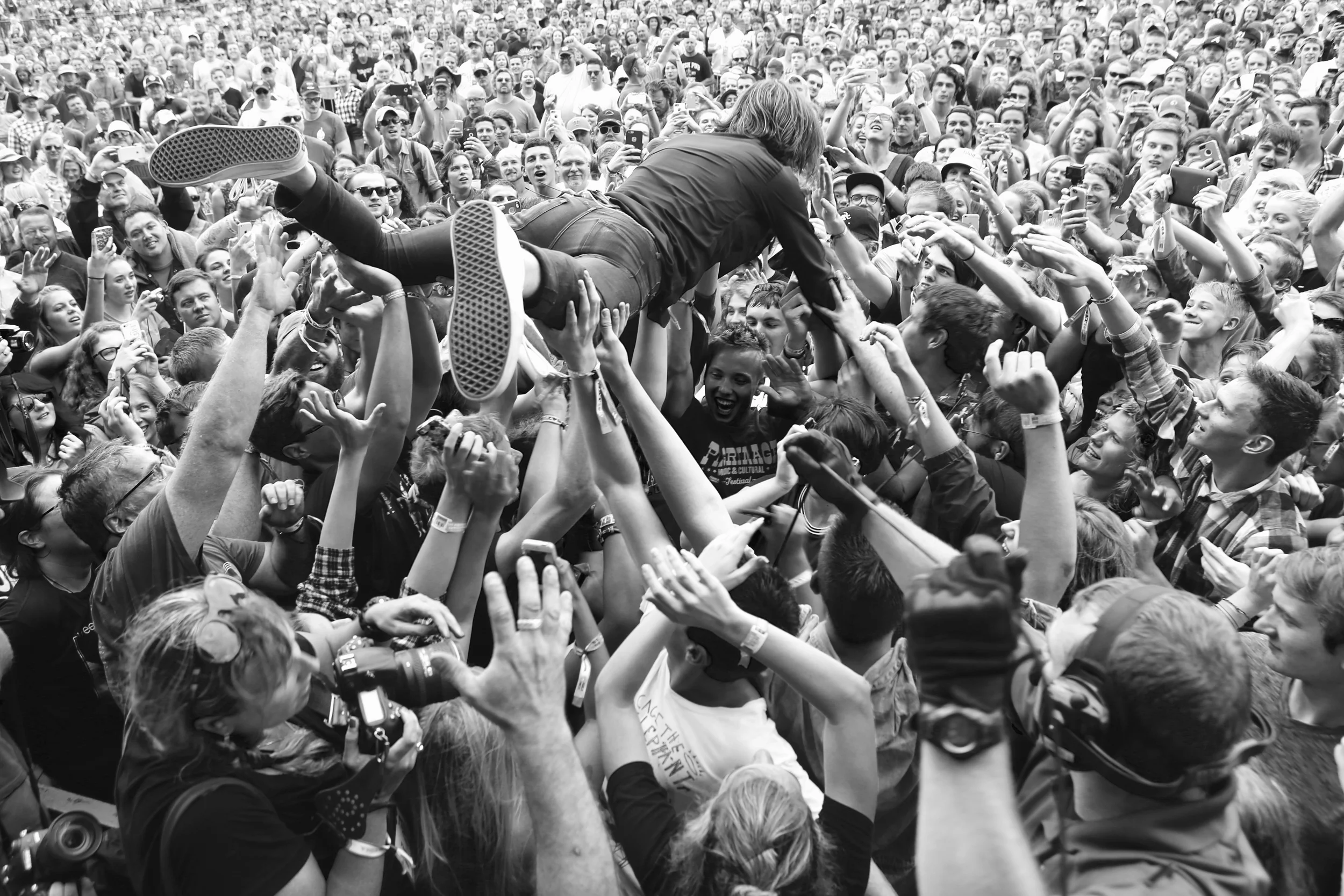 Cage The Elephant