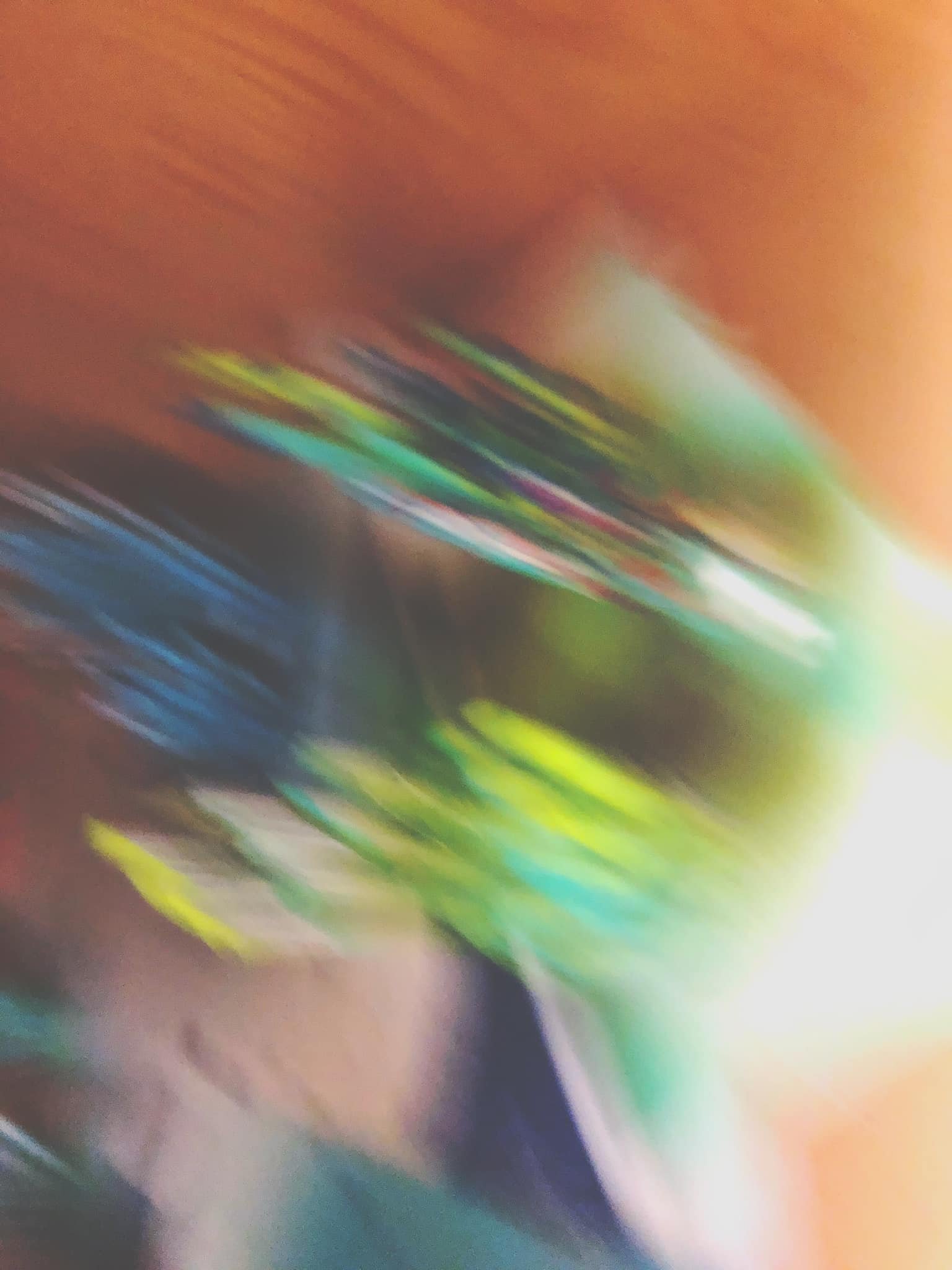 278476420_10159346744184024_3346775942574270405_n.jpg
