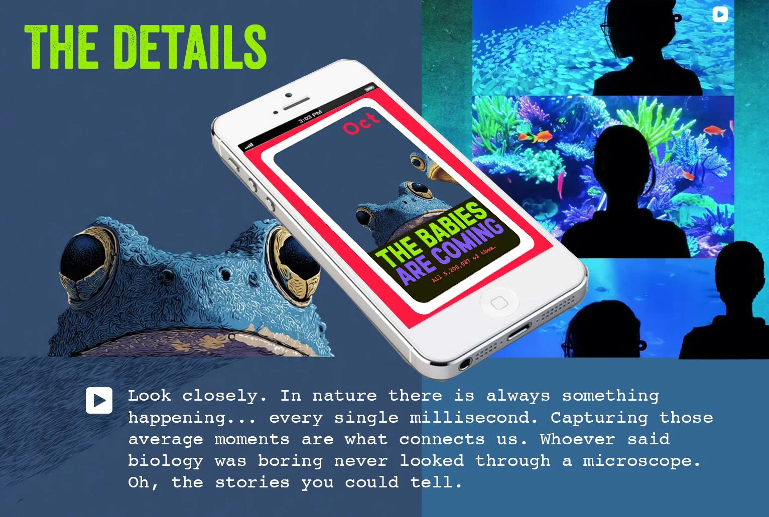 Aquarium-IPHONE-BABIES.jpg