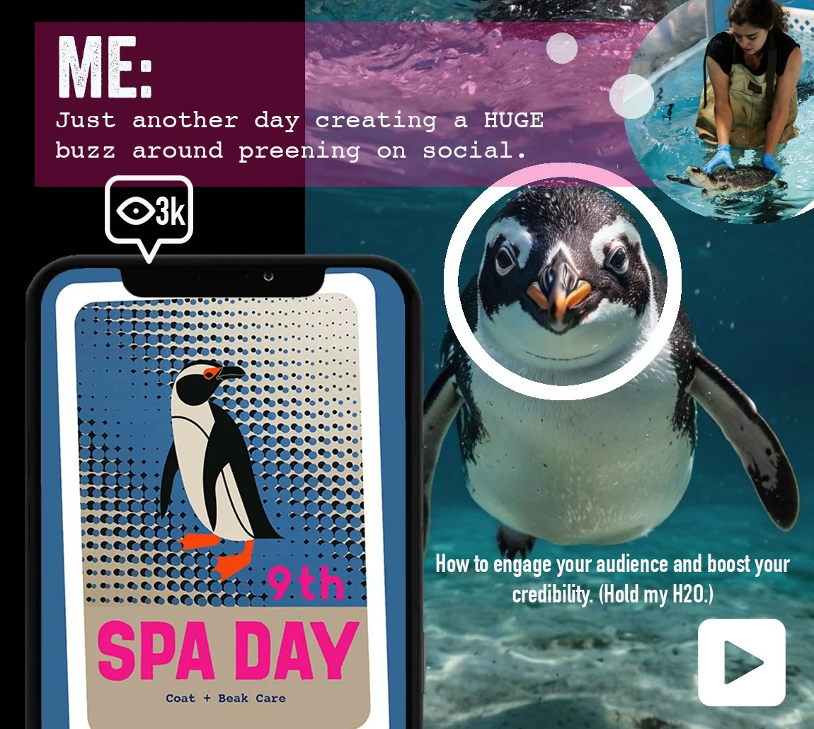 Aquirium-Content-SPA-DAY.jpg
