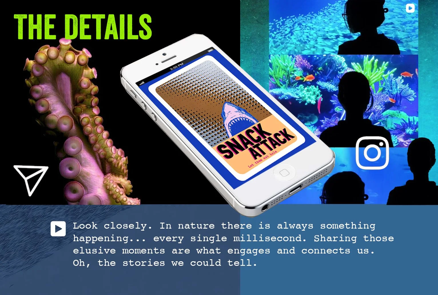 Aquarium-IPHONE-BABIES.jpg