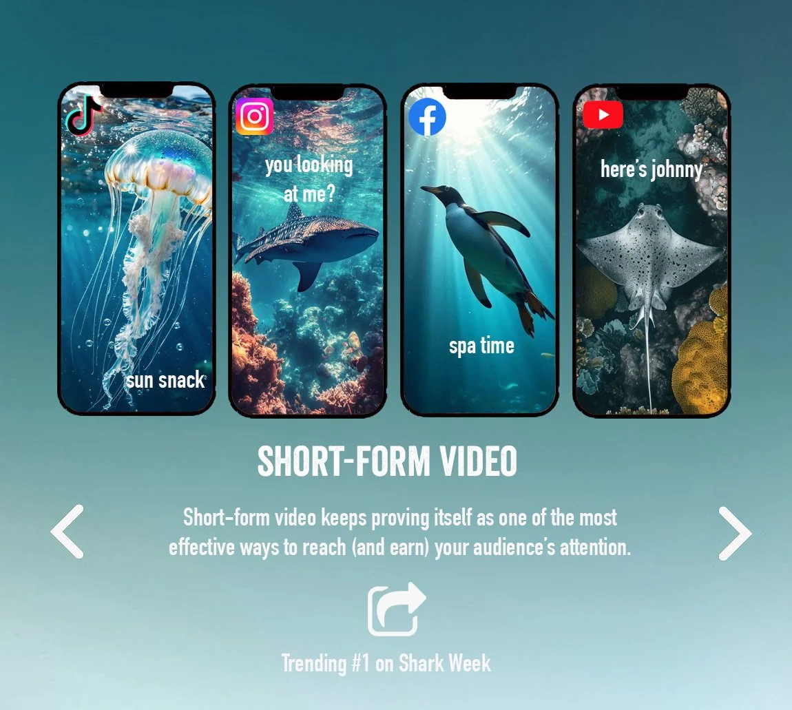 Aquirium-Short-Form-REELS.jpg