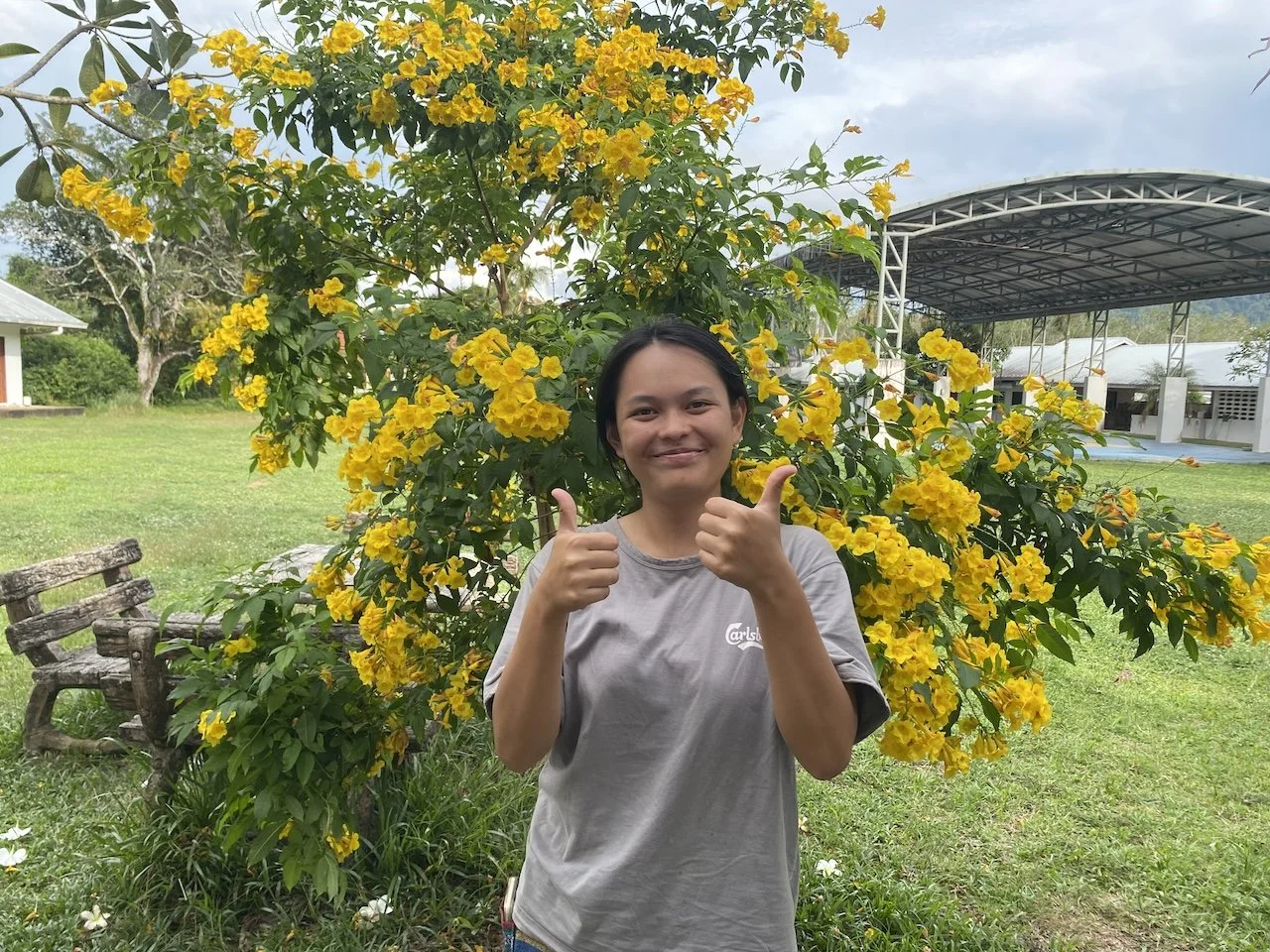   Ploy studies Aerospace Engineering   Ploy came to us when she was 7 years old, in 2012. When she came to us she was a very quiet, calm, intelligent and serious little lady who preferred to spend time with adults.  She is not as quiet and serious to