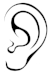 ear image.jpg