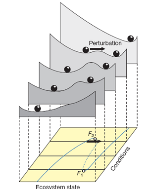 a.DL.alternative stable states