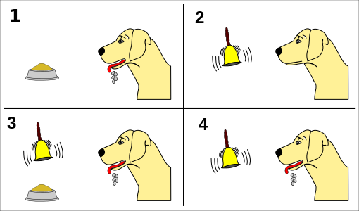 Pavlov's_dog_conditioning.svg