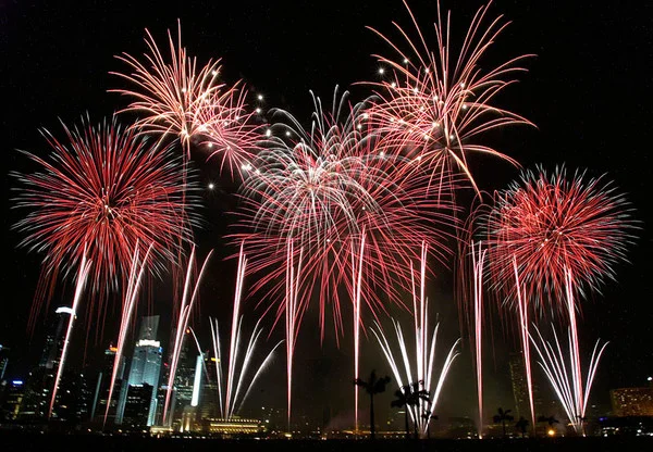 Team_Singapore_fireworks_display_from_Singapore_Fireworks_Festival_2006