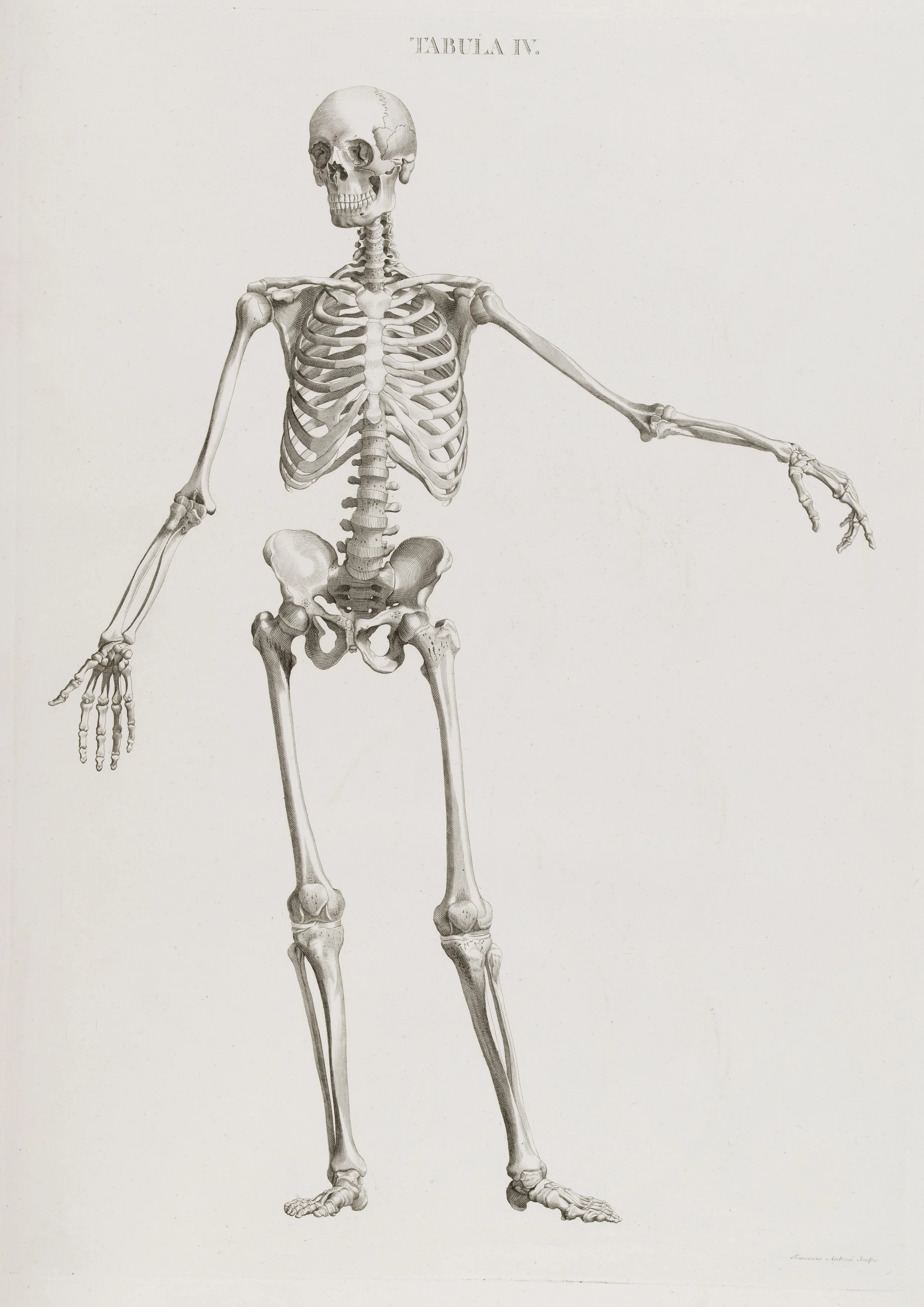 Better Balance for Standing and Walking: Five Class Series Running from May 7 - June 4