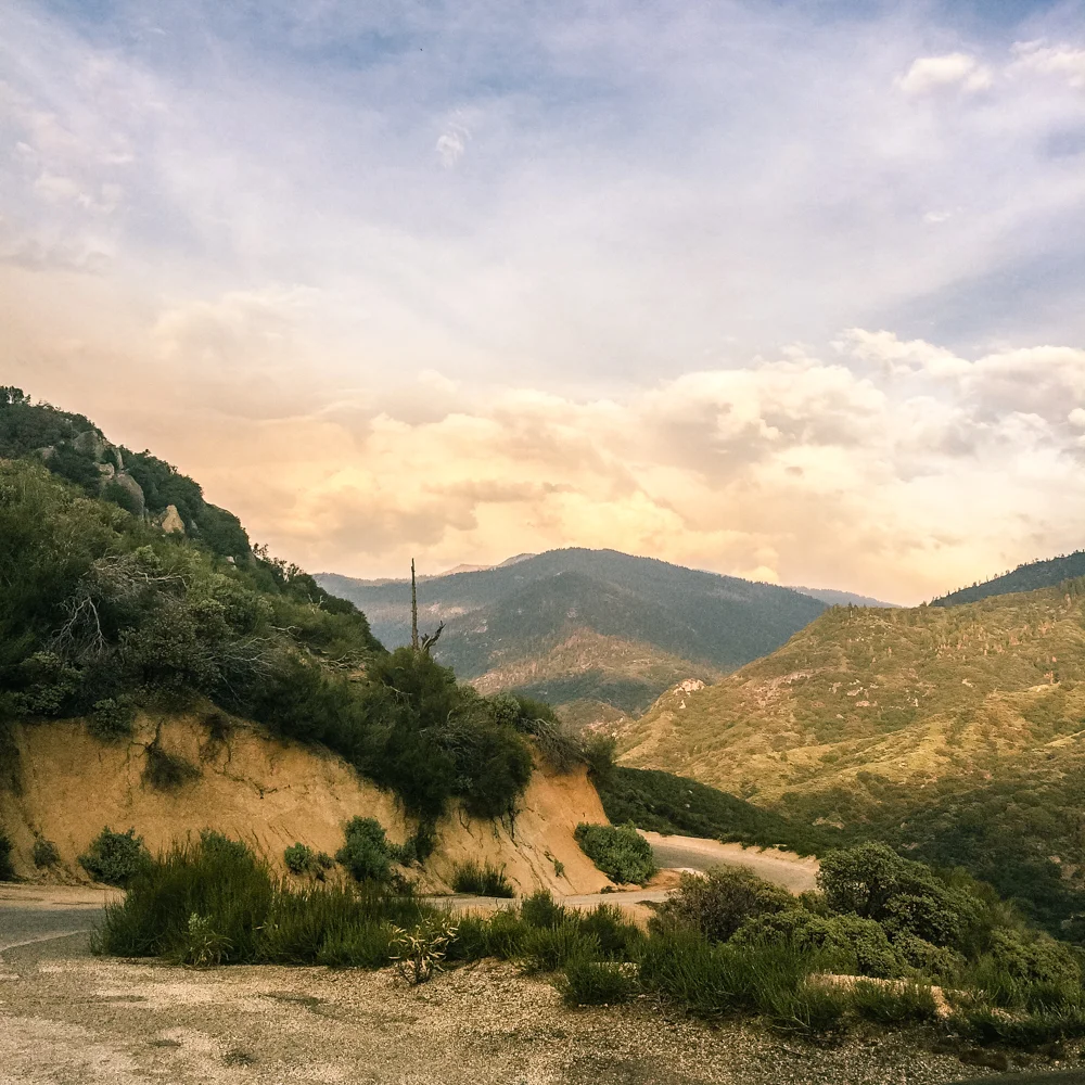 Sequoia Forest_Odaniel_IG (2 of 32).jpg