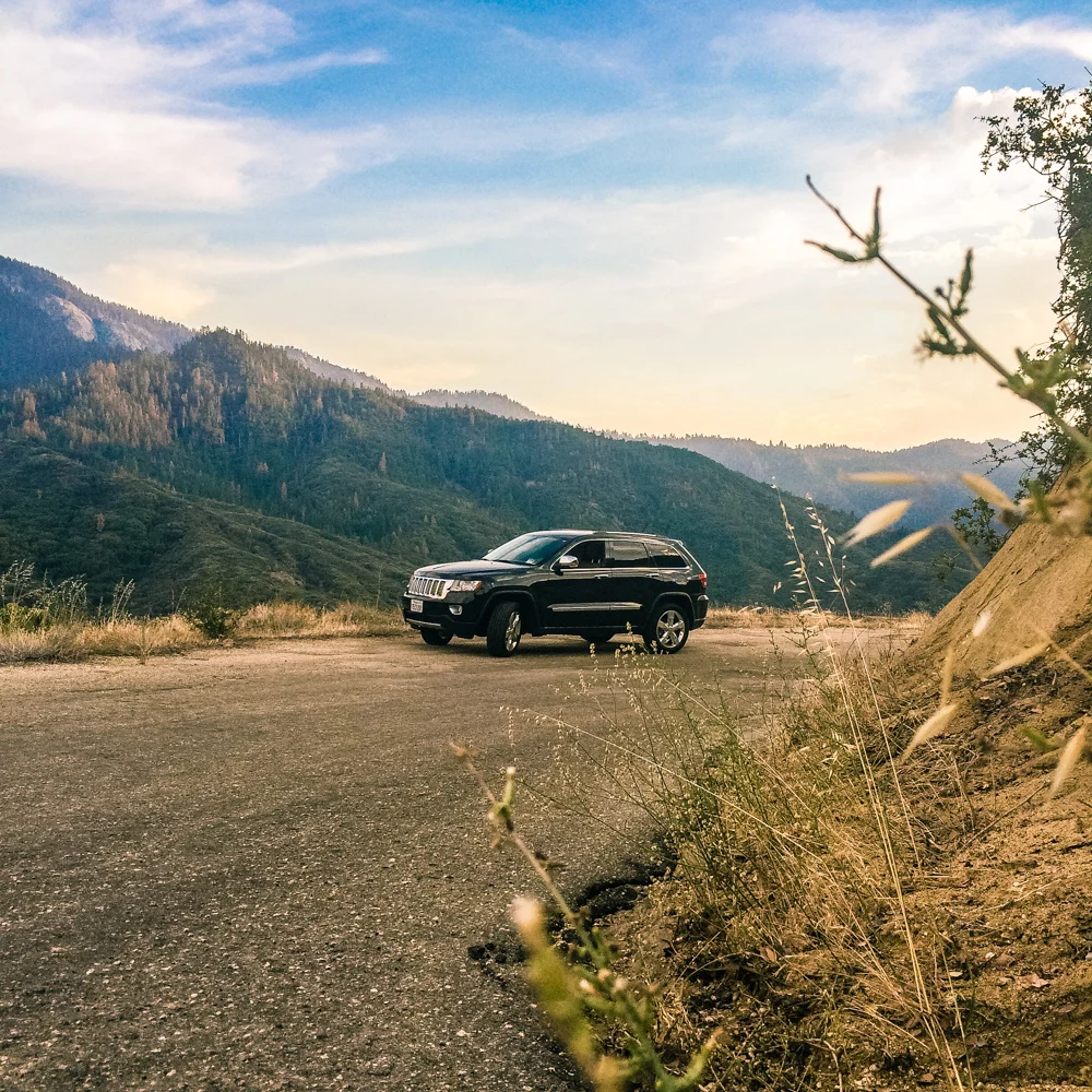 Sequoia Forest_Odaniel_IG (5 of 32).jpg