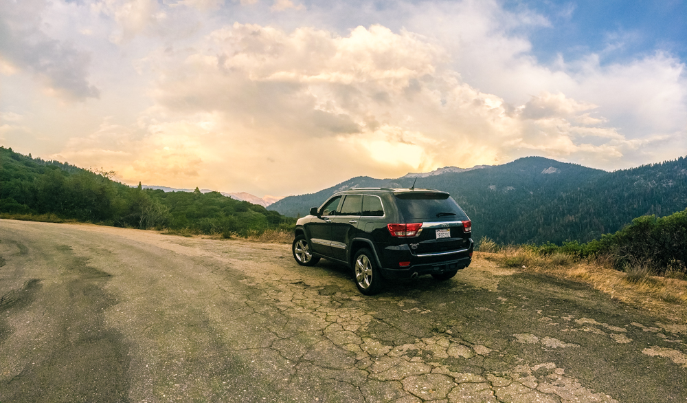 Sequoia Forest_Odaniel_IG (8 of 32).jpg