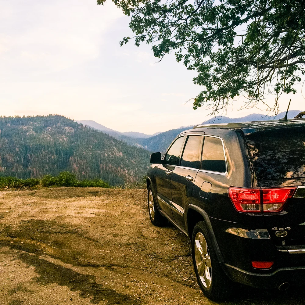 Sequoia Forest_Odaniel_IG (11 of 32).jpg