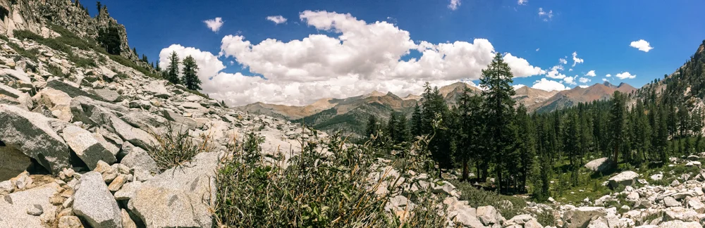 Sequoia Forest_Odaniel_IG (19 of 32).jpg