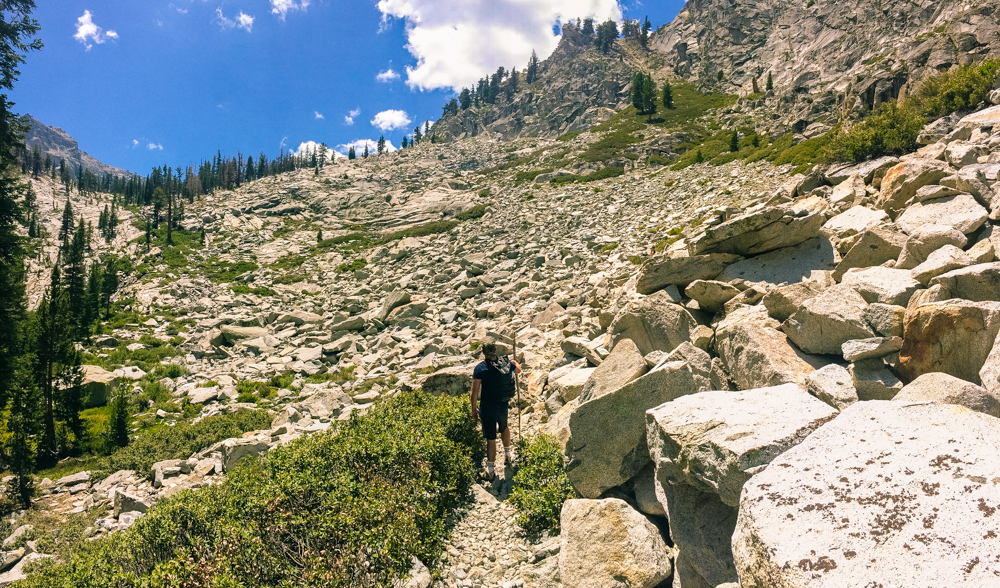 Sequoia Forest_Odaniel_IG (18 of 32).jpg