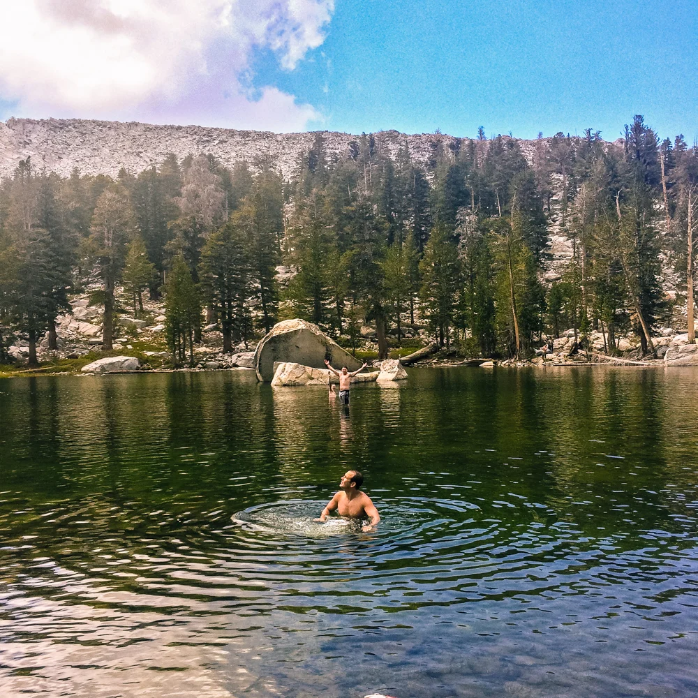 Sequoia Forest_Odaniel_IG (23 of 32).jpg
