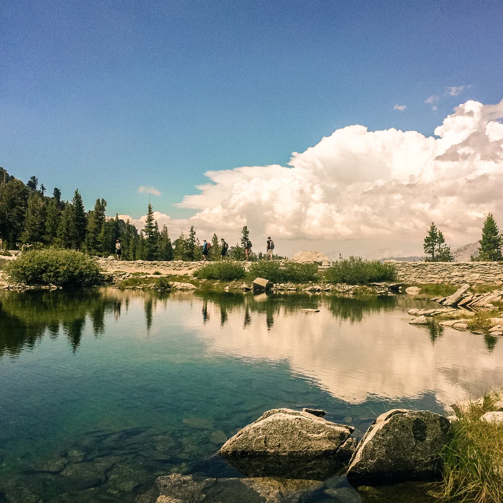 Sequoia Forest_Odaniel_IG (25 of 32).jpg