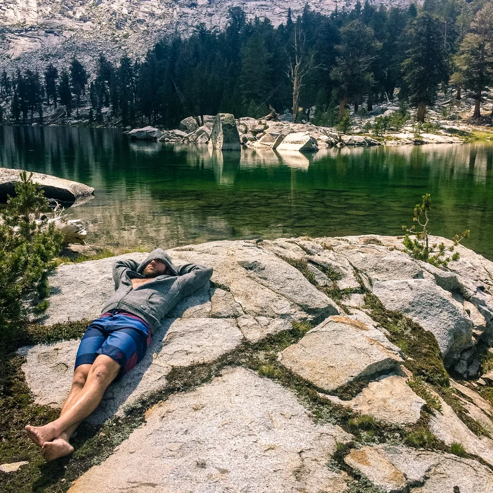 Sequoia Forest_Odaniel_IG (24 of 32).jpg