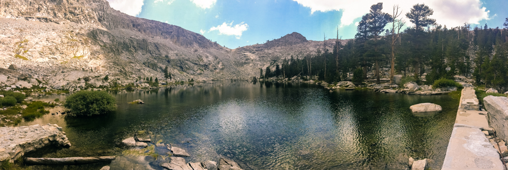 Sequoia Forest_Odaniel_IG (27 of 32).jpg