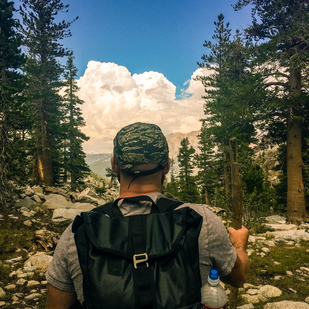 Sequoia Forest_Odaniel_IG (29 of 32).jpg