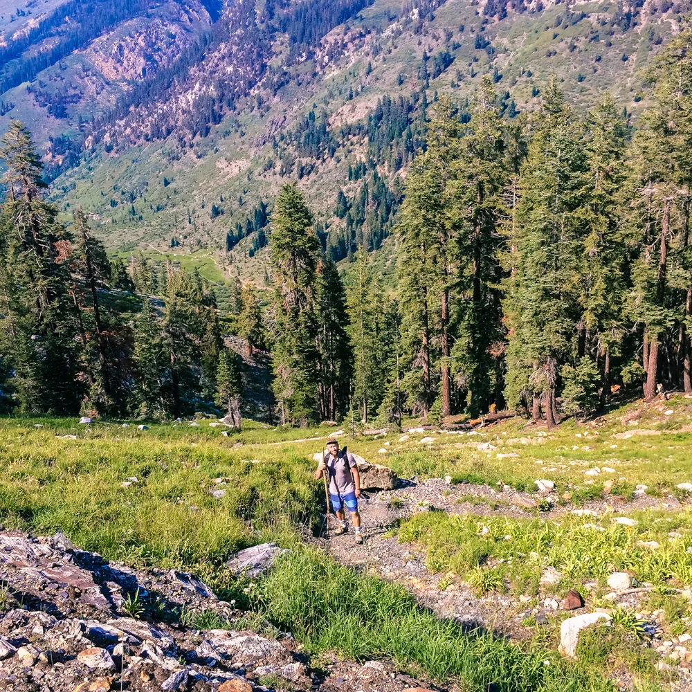 Sequoia Forest_Odaniel_IG (31 of 32).jpg